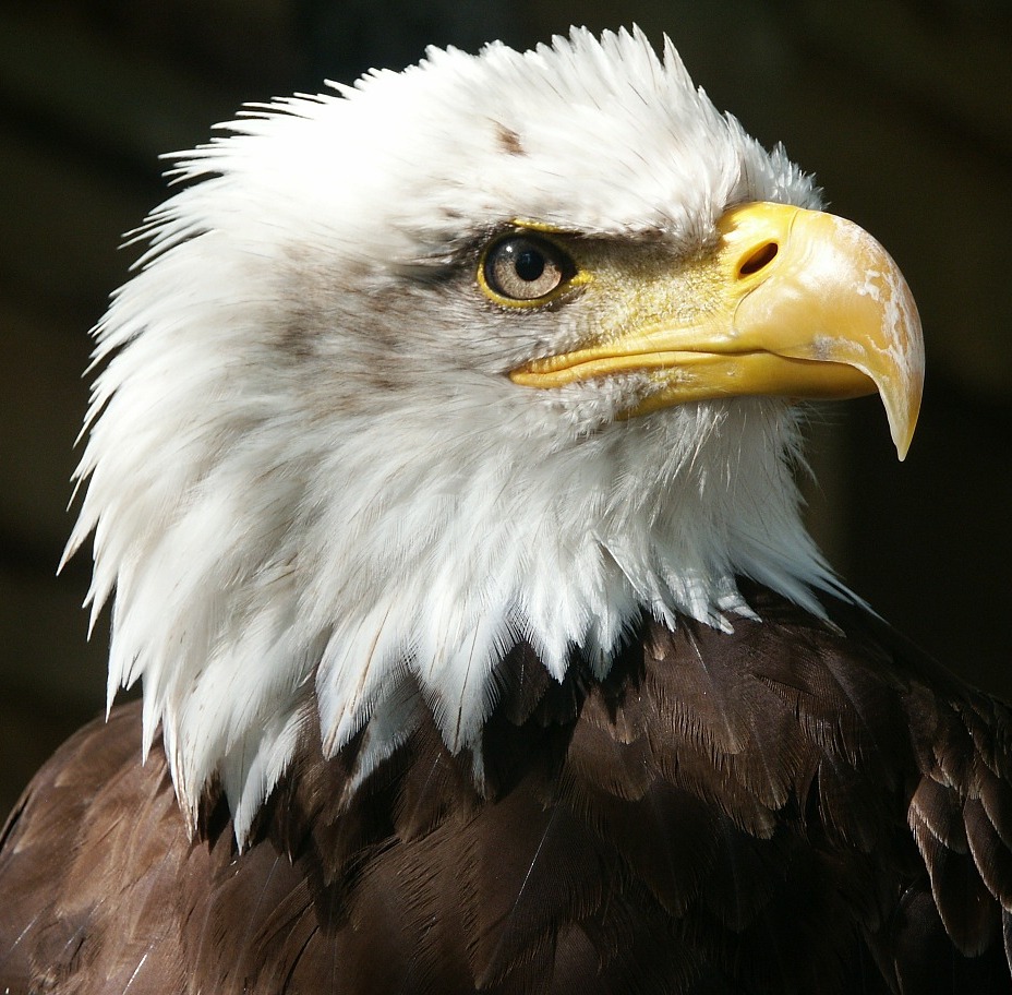 gallery/6bb42adda9b5b98fd17eea3739d319e4